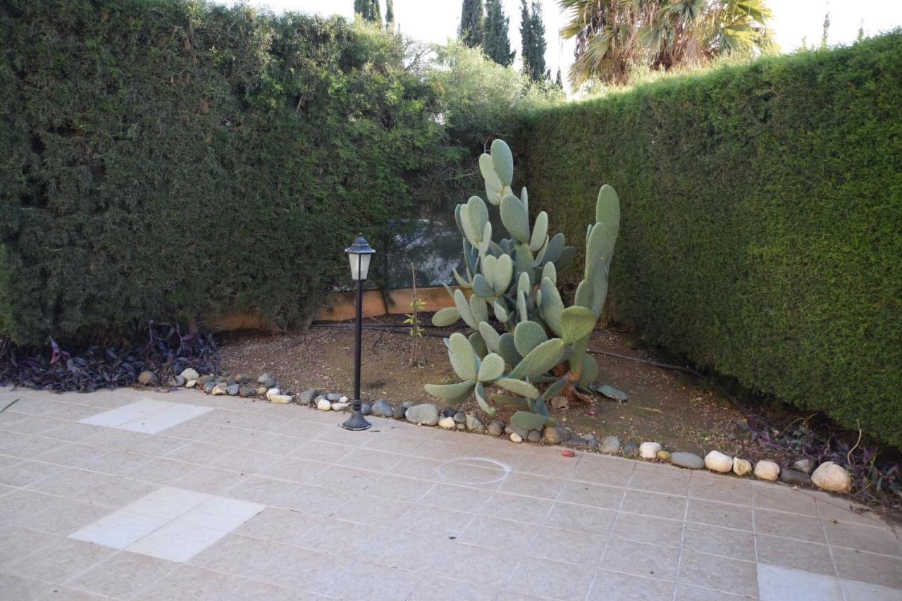 Raise Cosy Studio With Pool In Limisso Esterno foto